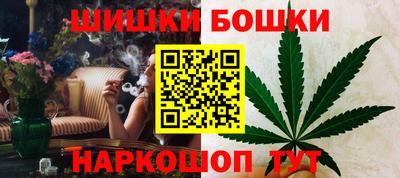 дмт Заводоуковск