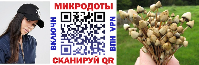 купить закладку  Сальск  Галлюциногенные грибы ЛСД 