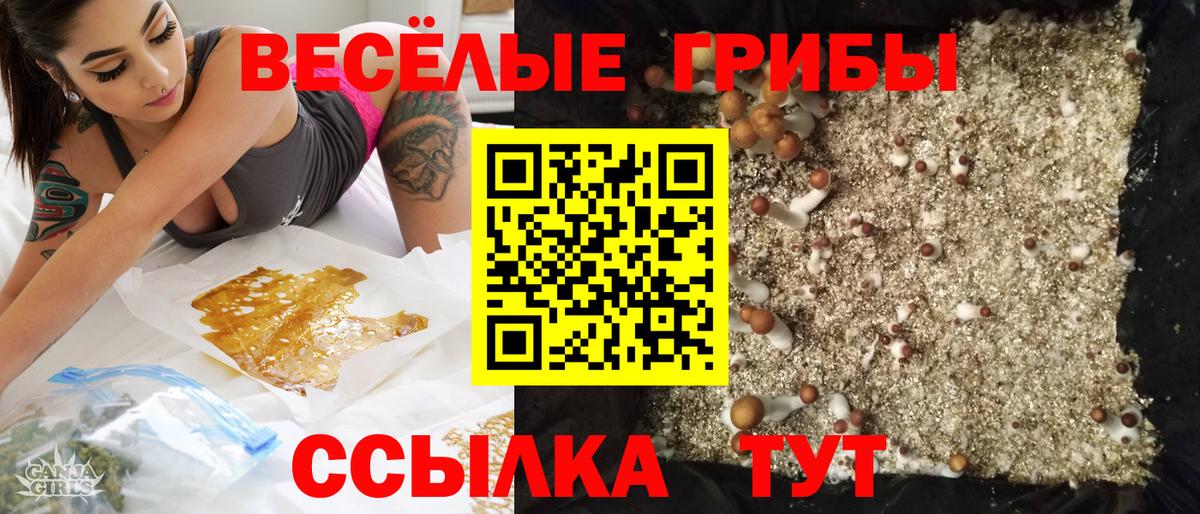 Псилоцибиновые грибы ЛСД Сальск